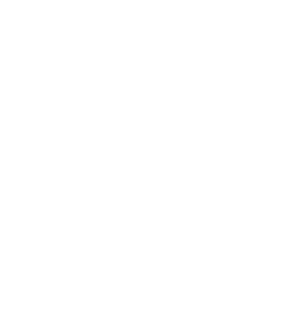 Nagoya International Junior and Senior High School logo